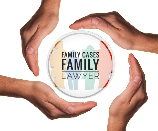 Family Cases/ Family Lawyer